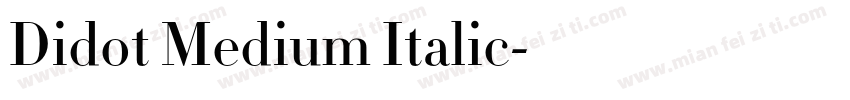 Didot Medium Italic字体转换